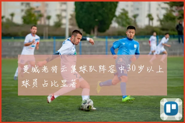 曼城老将云集球队阵容中30岁以上球员占比显著
